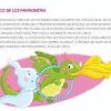 Cuentos  cortos para soñar 1 - Imagen 3