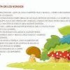 Cuentos  cortos para soñar 1 - Imagen 2