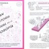 Gran historia visual de la filosofía - Imagen 3