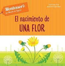 El nacimiento de una flor Montessori