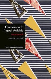 Americanah- Chimamanda Ngozi Adichie.
