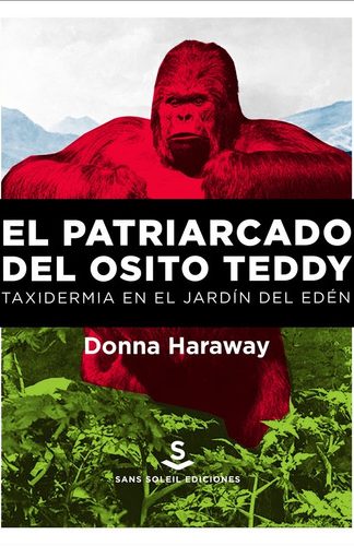 El patriarcado del osito Teddy