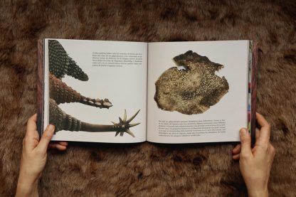 Megafauna 3D- Un libro de huesos - Imagen 4