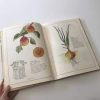 Inventario de frutas y verduras - Imagen 3