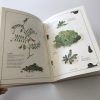 Inventario de frutas y verduras - Imagen 4