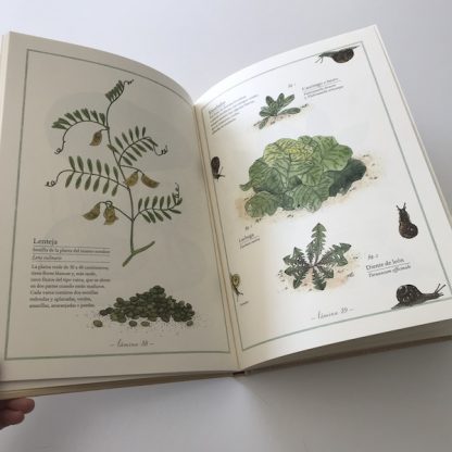 Inventario de frutas y verduras - Imagen 4