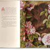 La Bella y la Bestia- Jeanne Marie Leprince de Beaumont, Francesca dell´Orto - Imagen 4
