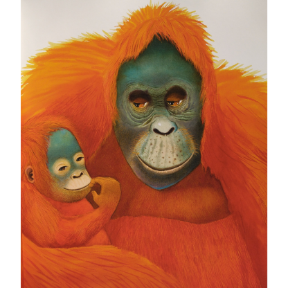 Un gorila- Un libro no sólo para contar- Anthony Browne - Imagen 2