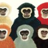 Un gorila- Un libro no sólo para contar- Anthony Browne - Imagen 4