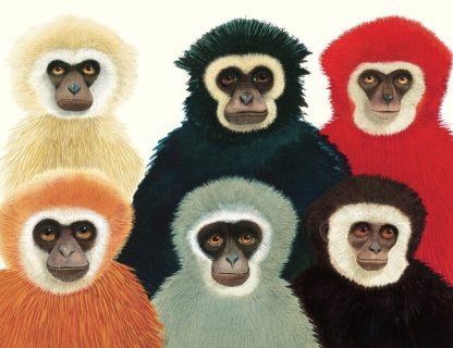 Un gorila- Un libro no sólo para contar- Anthony Browne - Imagen 4