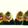 Un gorila- Un libro no sólo para contar- Anthony Browne - Imagen 3