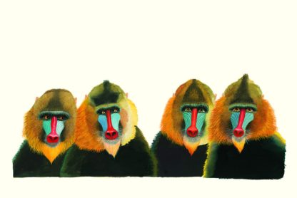 Un gorila- Un libro no sólo para contar- Anthony Browne - Imagen 3