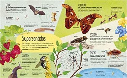 Mariposas- vida secreta- Roger Vila - Imagen 2