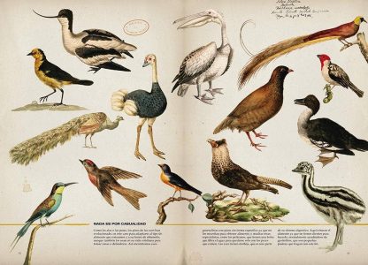 Zoología Ilustrada- Carmen Soria - Imagen 2