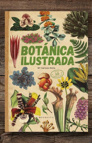 Botánica Ilustrada- María Carmen Soria