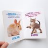 Colección mis maravillosos sentidos- Animales Adorables - Imagen 3