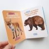 Colección mis maravillosos sentidos- Animales Salvajes - Imagen 2