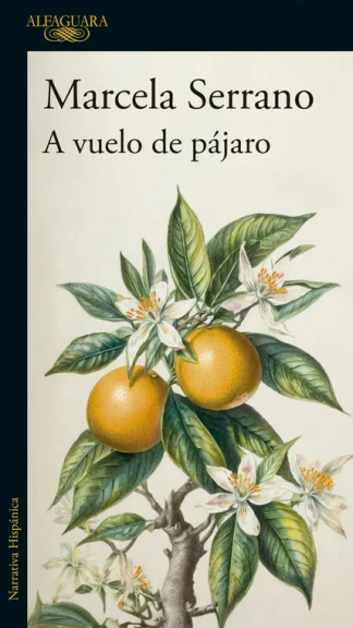 A vuelo de pájaro