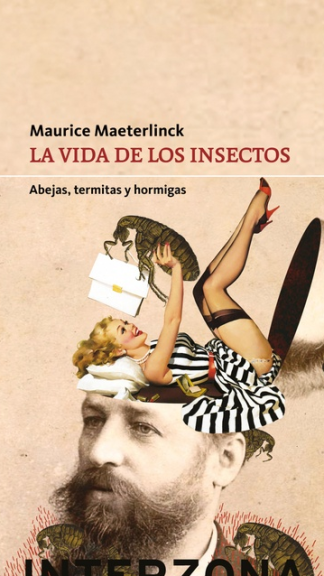 La vida de los insectos