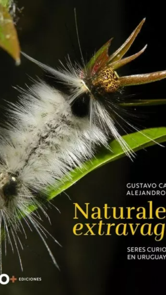 Naturaleza extravagante