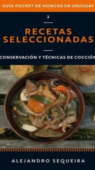 Recetas seleccionadas